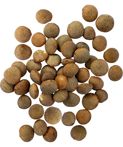 Palouse Brand Certified Glyphosate Residue Free Brown Lentils  5 LBS  Desiccant Free  Sproutable  NonGMO Project Verified  Kosher - Image 5