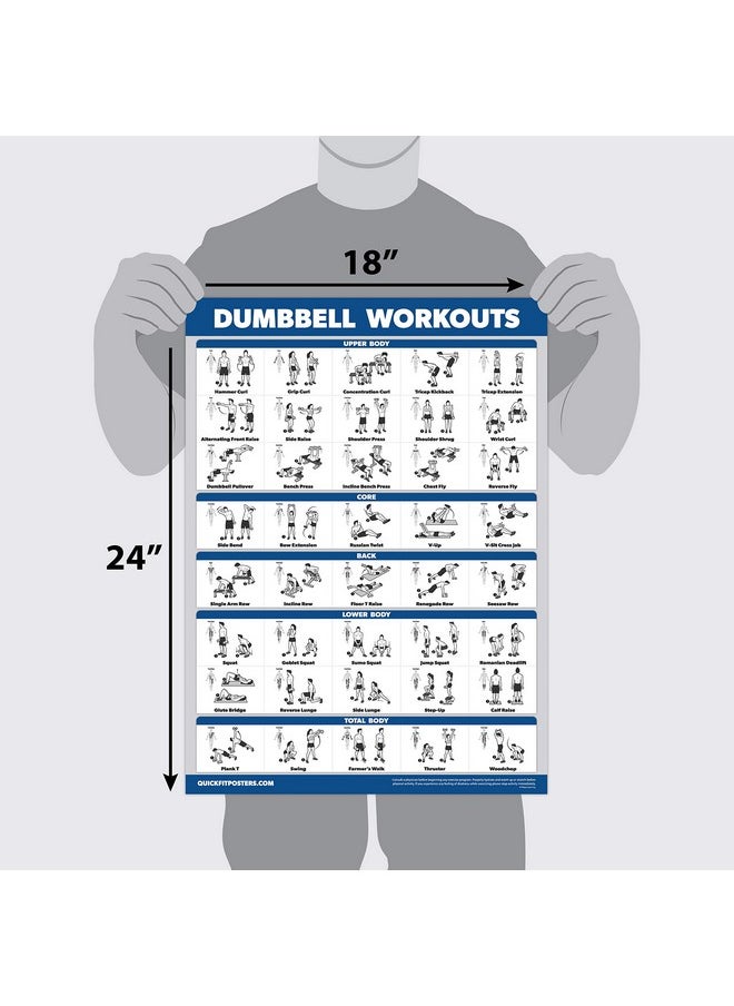 Palace Learning Learning 4 Pack - Dumbbell Workout Posters Volume 1, 2 & 3 + Barbell Exercise Chart - Set Of 4 Posters (Laminated, 18" X 24")  - Image 2