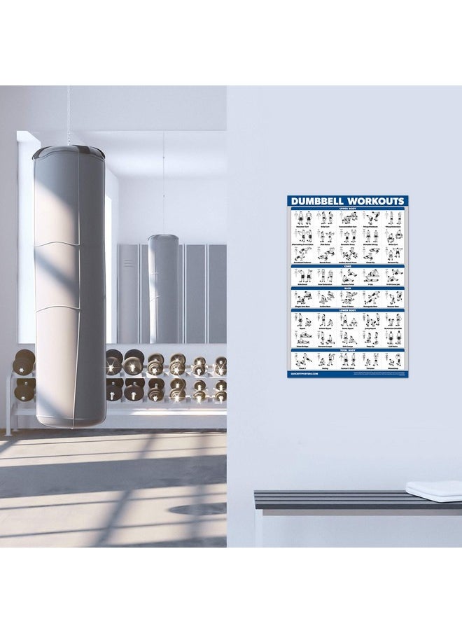 Palace Learning Learning 4 Pack - Dumbbell Workout Posters Volume 1, 2 & 3 + Barbell Exercise Chart - Set Of 4 Posters (Laminated, 18" X 24")  - Image 5