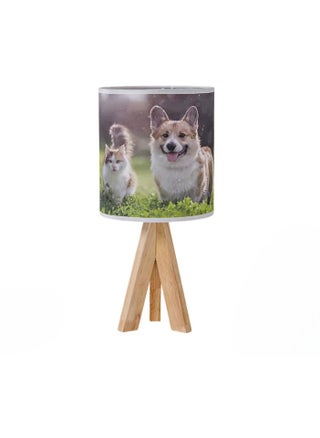 Cat And Dog Design Usb Fixed Brightness Model