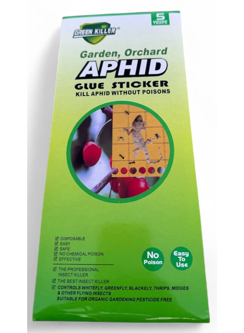 Glue traps for lizards, ants, cockroaches, aphids 1 Pack, 5 nos