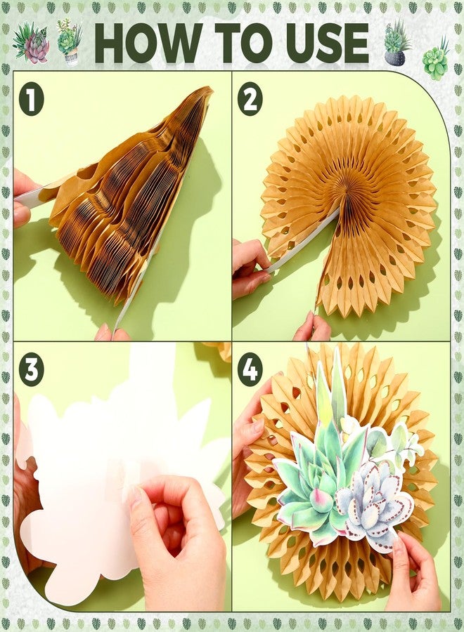 Qilery 66 Pcs Succulents Potted Bulletin Board Set Plant Bulletin Board Cutouts Black Dot Bulletin Board Border Paper Fans Classroom Decoration for Back to School Chalkboard Wall - Image 4