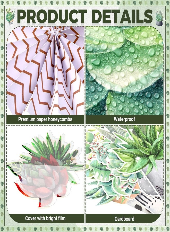 Qilery 66 Pcs Succulents Potted Bulletin Board Set Plant Bulletin Board Cutouts Black Dot Bulletin Board Border Paper Fans Classroom Decoration for Back to School Chalkboard Wall - Image 3