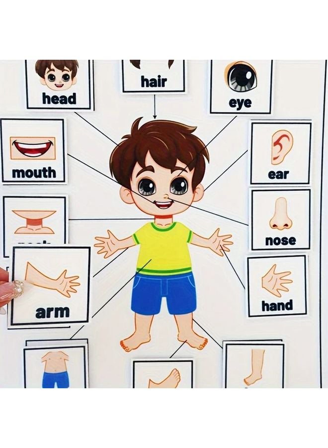 Hoojojo 13pcs Body Parts Felt Toy Set Educational Anatomy Puzzle for Kids - Image 4