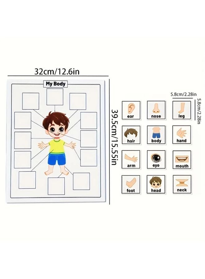 Hoojojo 13pcs Body Parts Felt Toy Set Educational Anatomy Puzzle for Kids - Image 1
