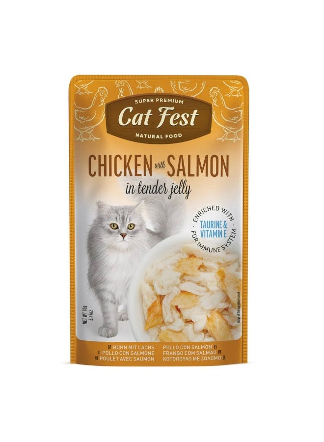 Cat Fest  - Tender Jelly For Cats 70g / Chicken with Salmon