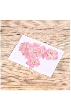 KASTWAVE Dried Pressed Flower 12 Pcs Lifelike Small Flower Ornaments Nail Art Little Pressed Real Dried Flower Material for Hand DIY Phone Case Specimen  - Image 3