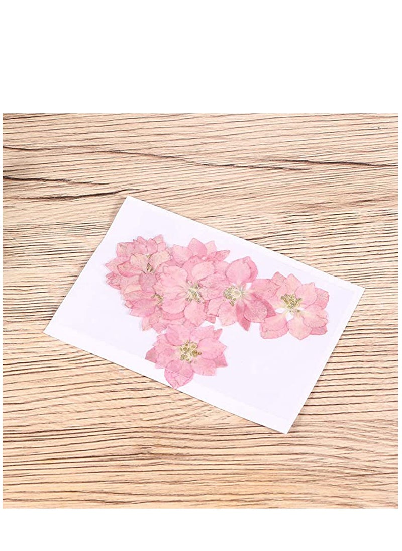 KASTWAVE Dried Pressed Flower 12 Pcs Lifelike Small Flower Ornaments Nail Art Little Pressed Real Dried Flower Material for Hand DIY Phone Case Specimen  - Image 3