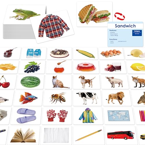 SpriteGru 140 Noun PictureWord Cards Picture Flashcards Language Builder Visual Aid Speech Development Tool for Autism ESL Teaching Materials for Adults NonVerbal Children Vocabulary Builder for Toddlers - Image 1