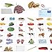 SpriteGru 140 Noun PictureWord Cards Picture Flashcards Language Builder Visual Aid Speech Development Tool for Autism ESL Teaching Materials for Adults NonVerbal Children Vocabulary Builder for Toddlers - Image 2