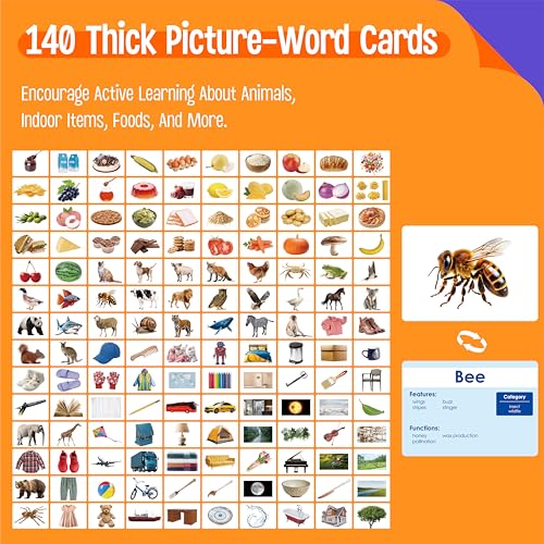 SpriteGru 140 Noun PictureWord Cards Picture Flashcards Language Builder Visual Aid Speech Development Tool for Autism ESL Teaching Materials for Adults NonVerbal Children Vocabulary Builder for Toddlers - Image 5