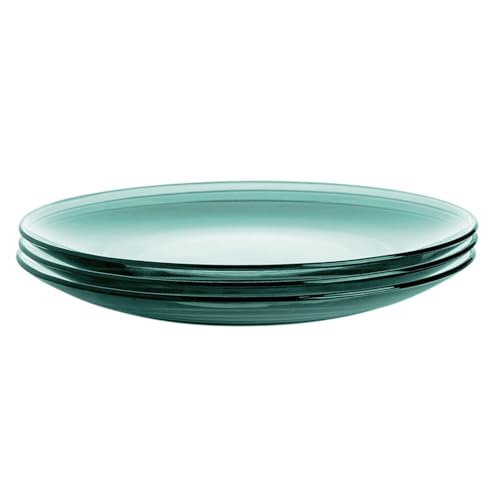 STP GOODS Glass Plates Set of 4 – Borosilicate Salad & Dessert Plates, Transparent Glass Appetizer Plates, Microwave & Dishwasher Safe Tableware - Image 4