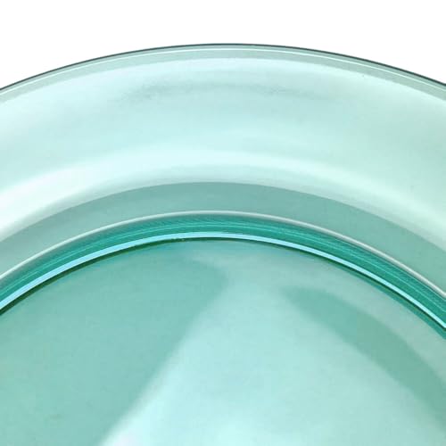 STP GOODS Glass Plates Set of 4 – Borosilicate Salad & Dessert Plates, Transparent Glass Appetizer Plates, Microwave & Dishwasher Safe Tableware - Image 5