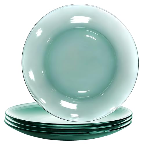 STP GOODS Glass Plates Set of 4 – Borosilicate Salad & Dessert Plates, Transparent Glass Appetizer Plates, Microwave & Dishwasher Safe Tableware - Image 1