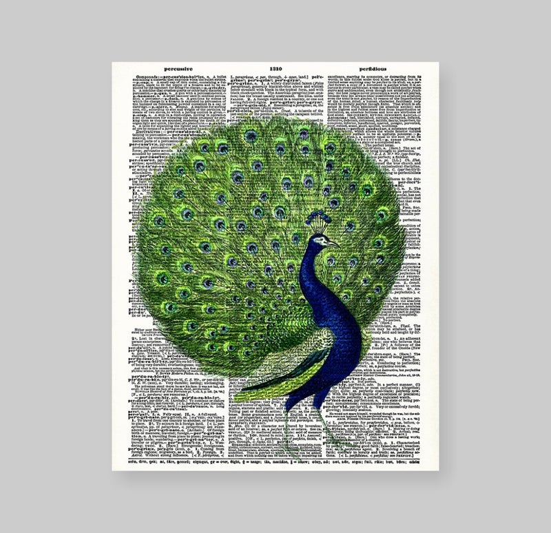 Susie Arts 8X10 Unframed Colorful Peacock Upcycled Vintage Dictionary Art Print Book Art Print Home Decor Wall Art V043 - Image 2
