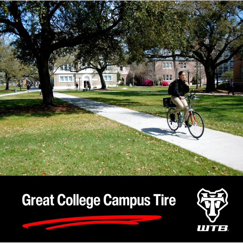 WTB ThickSlick Hybrid Bike Tire (700 x 28) Wire Bead - Slick Tread - Commuter & Campus (Flat Guard, Black) - Image 4