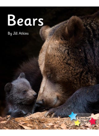 Bears: Phonics Phase 5 - pzsku/Z8318580D5E866E046383Z/45/_/1727803953/2465980d-7bce-44c0-9f1f-bac1f997b46f