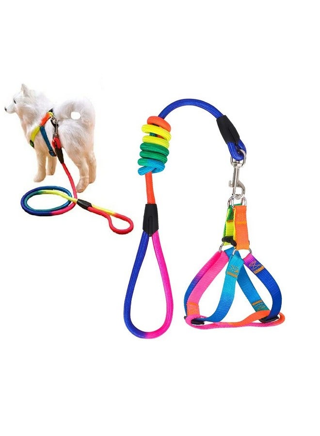 حزام وحزام للكلاب قابل للتعديل بدون شد، حزام نايلون آمن للحيوانات الأليفة مع حزام للمشي في الهواء الطلق للكلاب متوسطة الحجم، قوس قزح (مقاس الصدر قابل للتعديل 38-48 سم) - Image 4