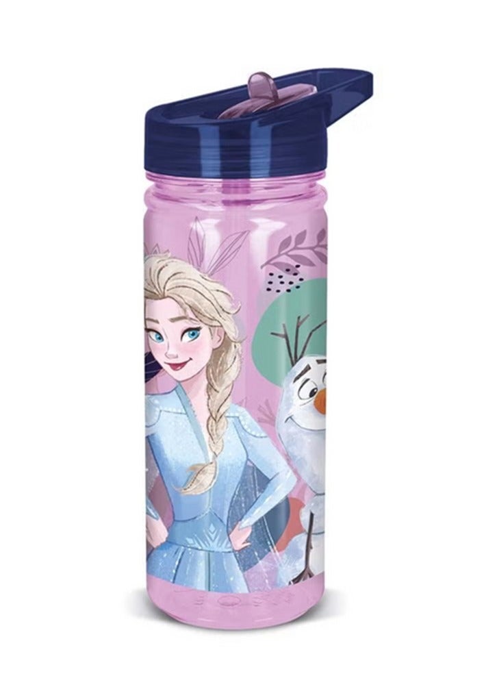 ستور زجاجة مياه مجمدة Ecozen خالية من مادة BPA مع قش رشفة أرجواني وأزرق 580 مل - Image 3