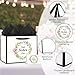 Woosytoo Bestie Birthday Gift Bags for Girls Sister Party Decoration with Greeting Card Tissue Paper - Image 4