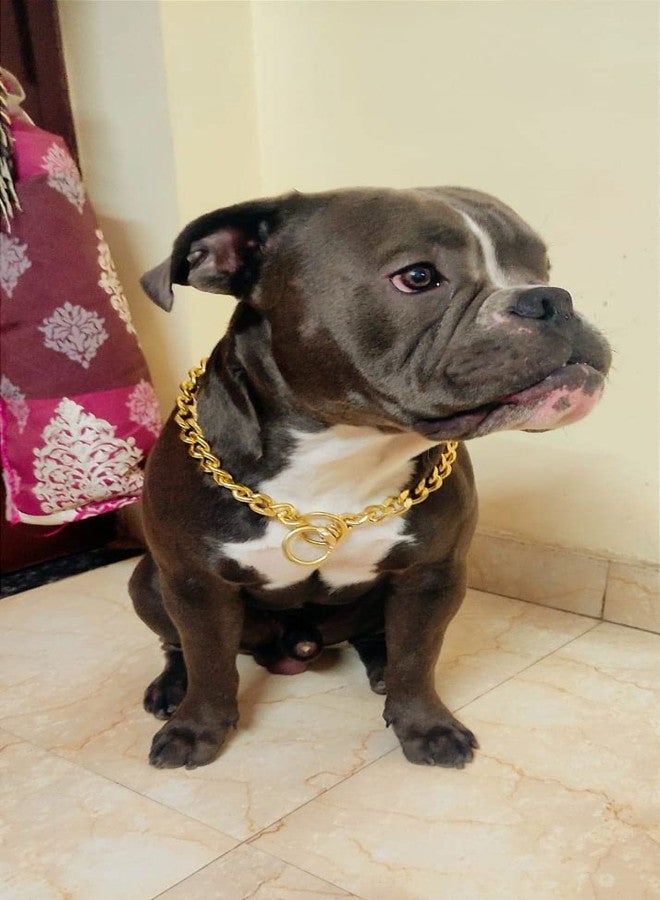 Pet Guard Pet Brass Heavy Duty Diamond Cut Gold Dog Chain Training Collar (X-Small:18 Inch) - Image 4