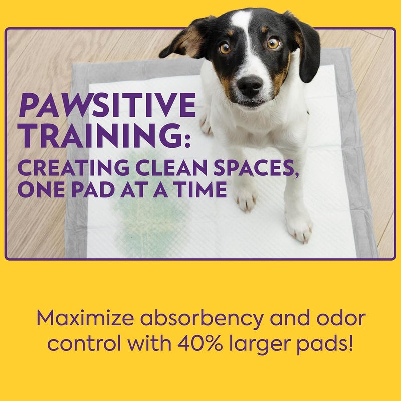 OUT Petcare XL Dog Training Pads Odor Control Dog Pads Extra Large Pee Pads for Dogs Puppy Pee Pads Leak Proof Disposable 26x24 60 Count - Image 5