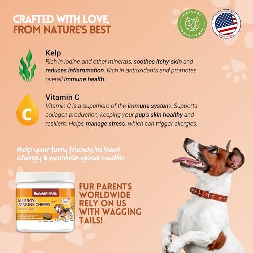 Herbion Pets Allergy + Immune Chews with Kelp & Vitamin C, 120 Soft Chews, Supports Immunity, Skin & Coat Health, Relieves Itchy Skin, Made in USA, Natural Vegetable Flavor, for Dogs 12 Weeks+, Pack 1 - Image 2