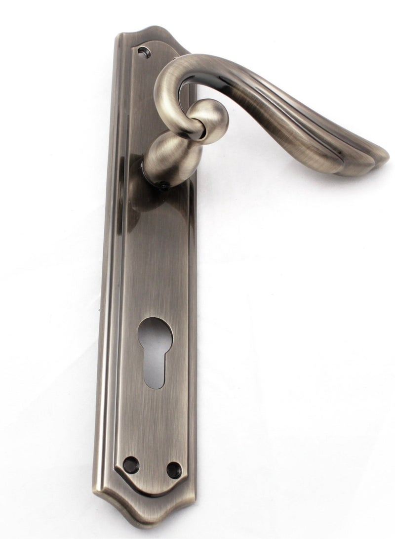 Siag Cylinder Door Handle E16-96 - Image 2