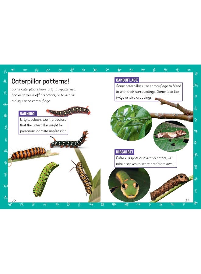 Year 2 Book 5 NF 1: Year 2 - Image 5