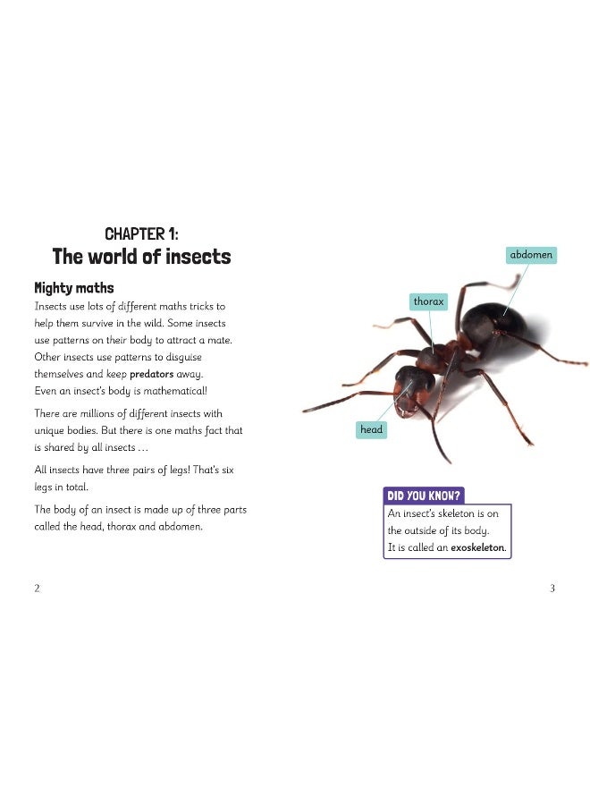 Year 2 Book 5 NF 1: Year 2 - Image 3