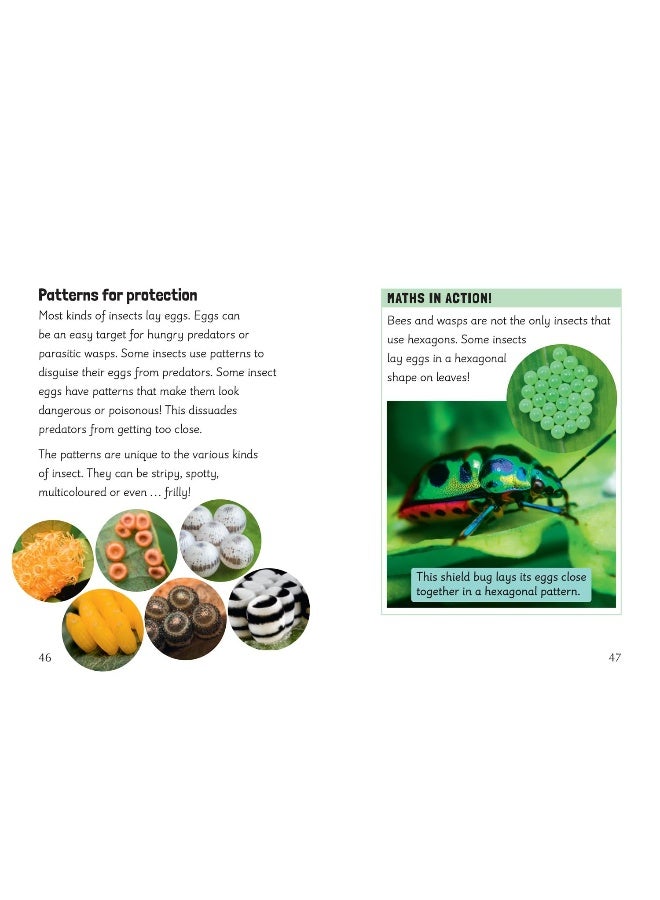 Year 2 Book 5 NF 1: Year 2 - Image 4