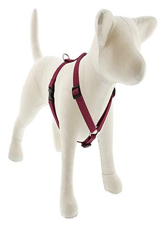 Lupine Adjustable Dog Harness by Lupine ECO Collection 3/4" Wide Berry with 14-24" Girth - Image 1