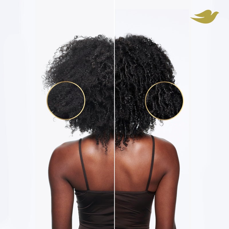 Dove باقة دوف للشامبو والبلسم وقناع الشعر لنظام العناية بالشعر المجعد 4 قطع مع تقنية العناية بالبروتين الحيوي + الأحماض الأمينية وزيت الجوجوبا - Image 5