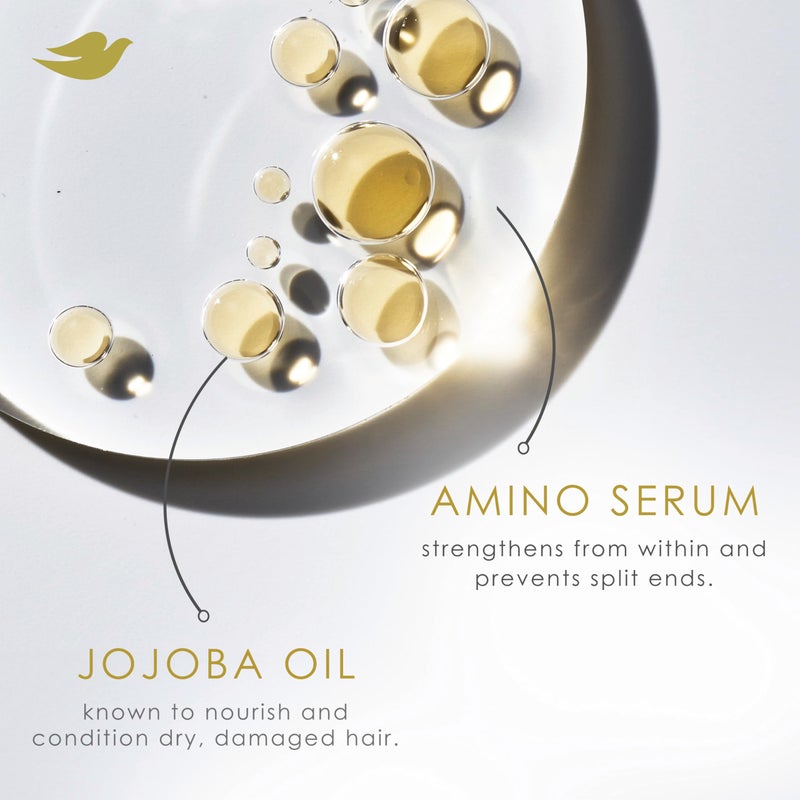 Dove باقة دوف للشامبو والبلسم وقناع الشعر لنظام العناية بالشعر المجعد 4 قطع مع تقنية العناية بالبروتين الحيوي + الأحماض الأمينية وزيت الجوجوبا - Image 3