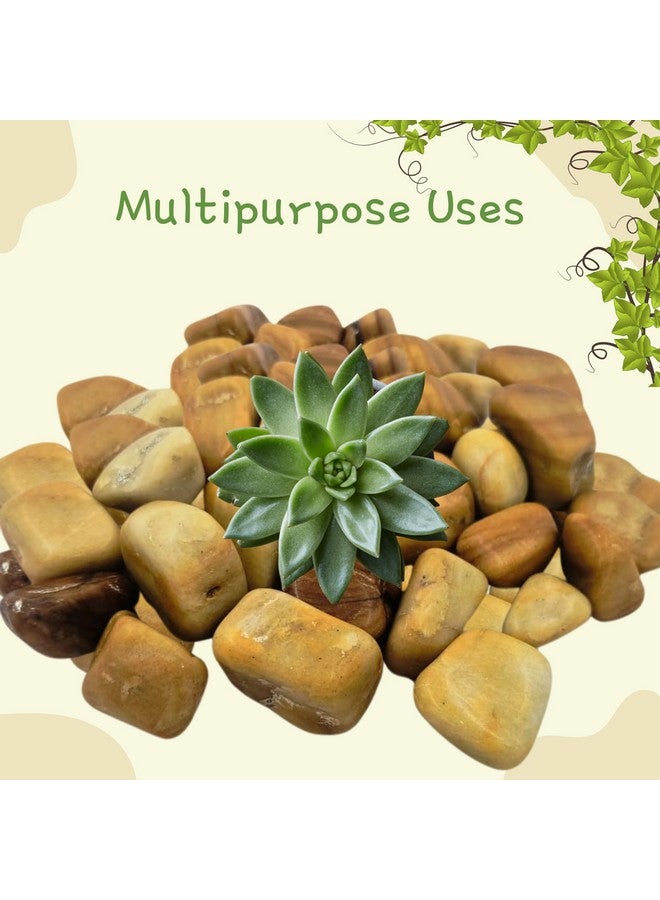 Decorative Glossy Golden Camel Tumbled Stones For Plants Pots, Aquarium, Fountain Decoration, Garden, Home And Table Decor And Vase Fillers | Multipurpose Uses, Gift Item (2Kg) - Image 4