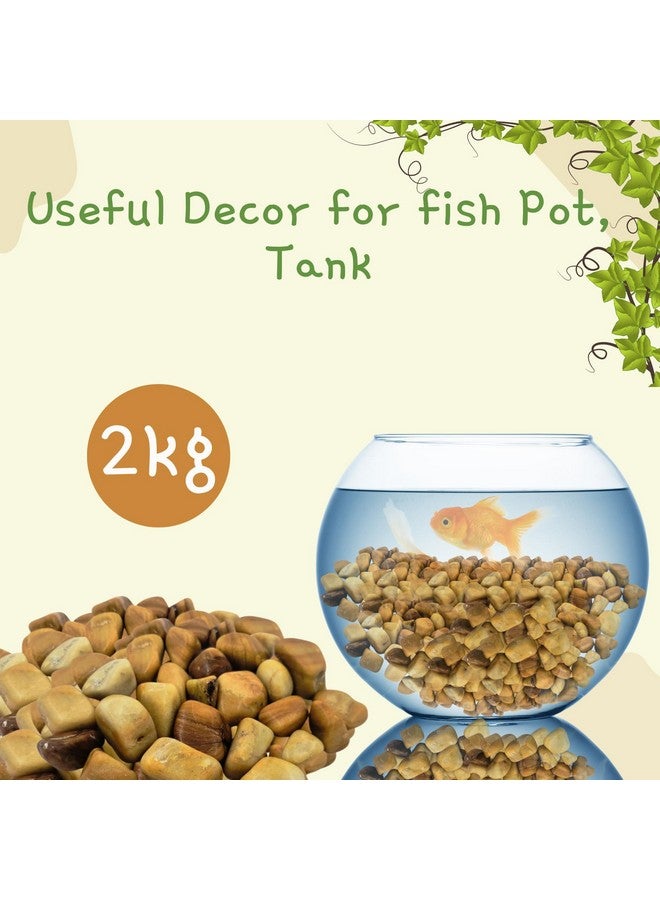 Decorative Glossy Golden Camel Tumbled Stones For Plants Pots, Aquarium, Fountain Decoration, Garden, Home And Table Decor And Vase Fillers | Multipurpose Uses, Gift Item (2Kg) - Image 3