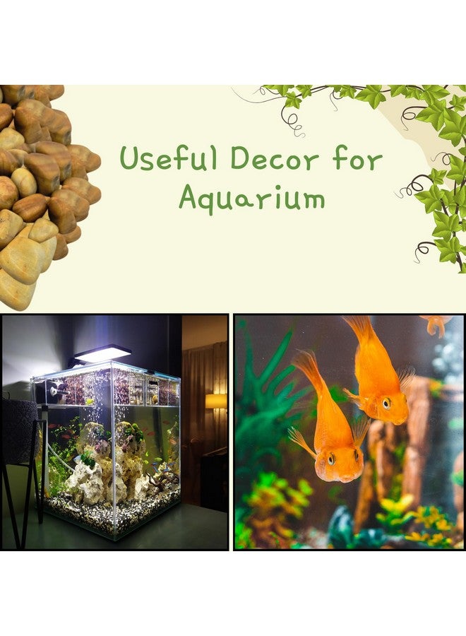 Decorative Glossy Golden Camel Tumbled Stones For Plants Pots, Aquarium, Fountain Decoration, Garden, Home And Table Decor And Vase Fillers | Multipurpose Uses, Gift Item (2Kg) - Image 5