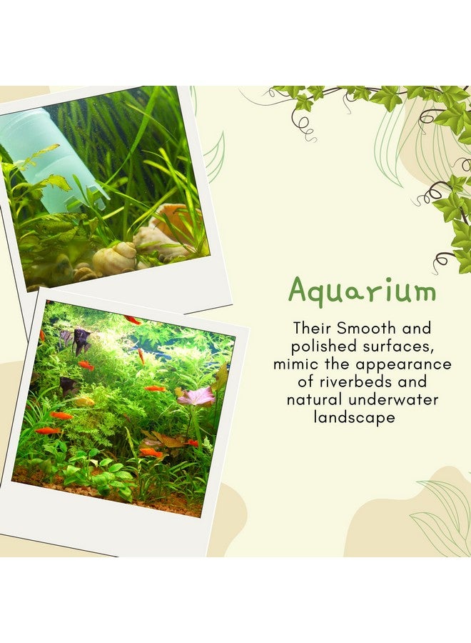 Decorative Glossy Golden Camel Tumbled Stones For Plants Pots, Aquarium, Fountain Decoration, Garden, Home And Table Decor And Vase Fillers | Multipurpose Uses, Gift Item (2Kg) - Image 2