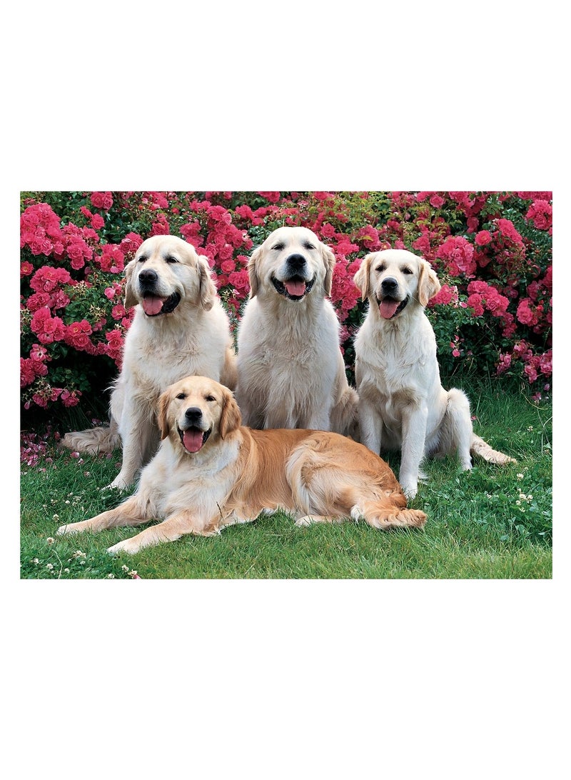 توماكس بازل كلاب جولدن ريتريفرز 500 قطعة - 50-115 - Image 2