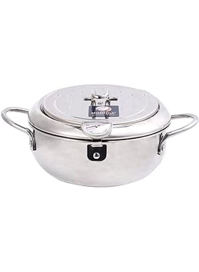 Mini Deep Fryer with Oil Filter Stainless Steel Temperature Controlled for Gas Electric Stove - Image 1