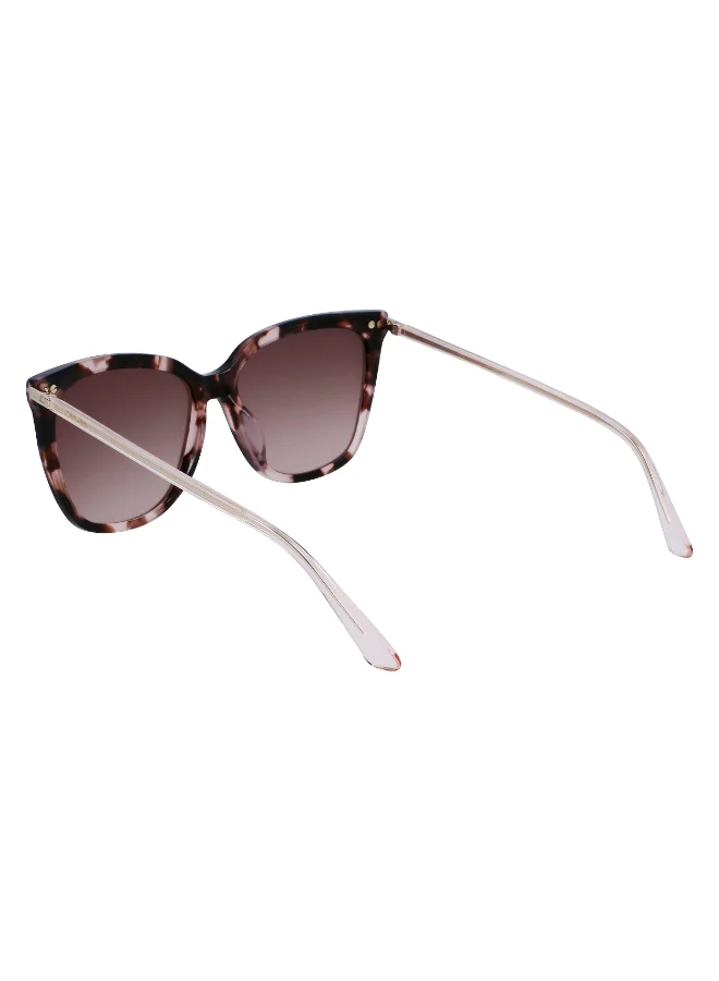 CALVIN KLEIN FULL RIM ACETATE CALVIN KLEIN SUN CK22532S