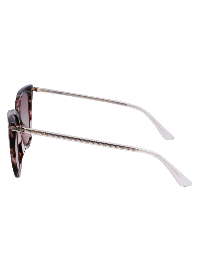 CALVIN KLEIN FULL RIM ACETATE CALVIN KLEIN SUN CK22532S