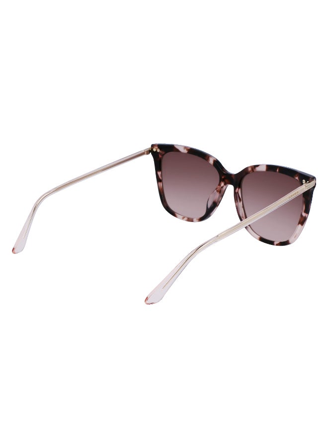 CALVIN KLEIN FULL RIM ACETATE CALVIN KLEIN SUN CK22532S - Image 5