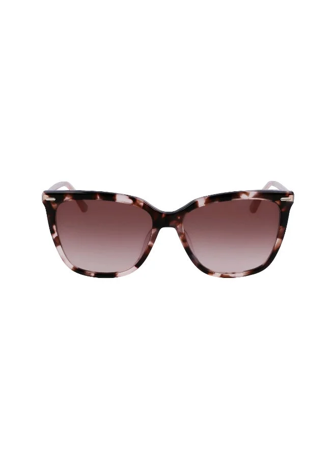 CALVIN KLEIN FULL RIM ACETATE CALVIN KLEIN SUN CK22532S