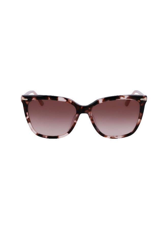 CALVIN KLEIN FULL RIM ACETATE CALVIN KLEIN SUN CK22532S - Image 1