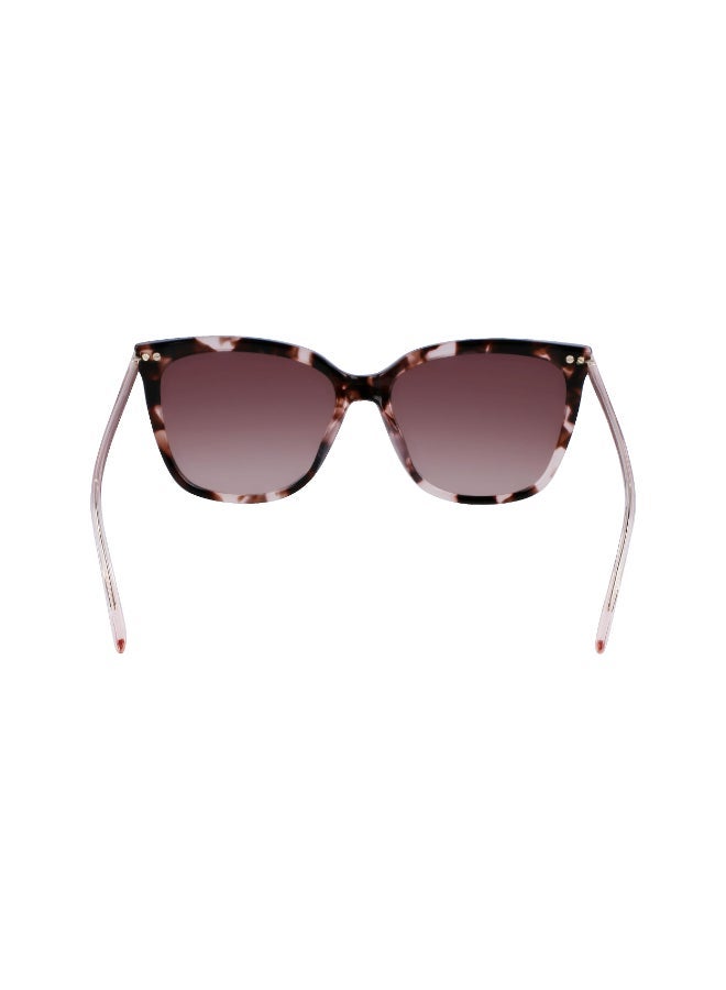 CALVIN KLEIN FULL RIM ACETATE CALVIN KLEIN SUN CK22532S - Image 4