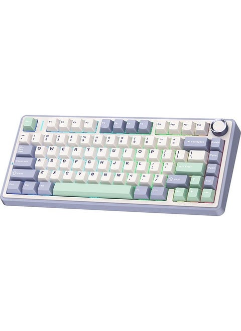 F75 Mechanical RGB TKL Gray Switch Wireless Macro Hot Swap Keyboard Pastel