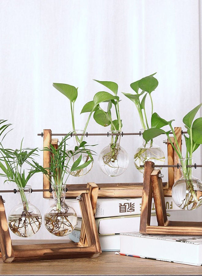 NIBEMINENT Glass Planter Bulb Vase with Retro Solid Wooden Stand and Metal Swivel Holder Clear/Brown - Image 3