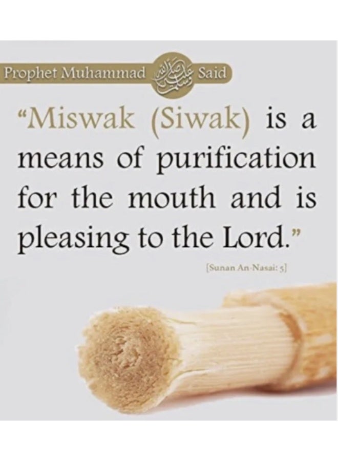 MISWAK Messwak Natural Dental Care Stick – Pure Herbal Teeth Cleaning Stick – Pack of 3 - Image 4