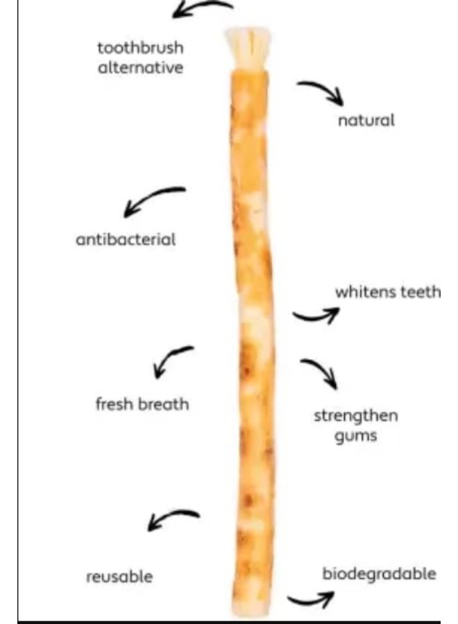 MISWAK Messwak Natural Dental Care Stick – Pure Herbal Teeth Cleaning Stick – Pack of 3 - Image 5